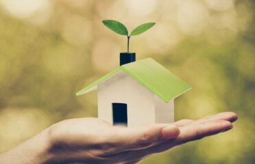 Energy-Efficient Home Improvement: Strategies for a Sustainable Future