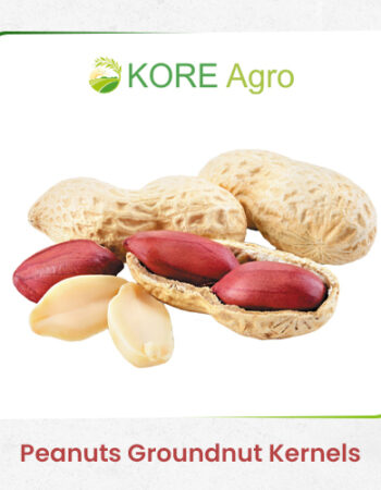 Kore Agro International
