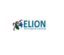 Elion Technologies and Consulting Pvt ltd